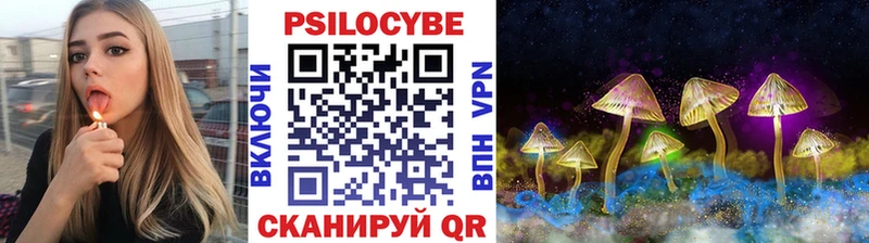 где купить наркоту Бобров Псилоцибиновые грибы ЛСД